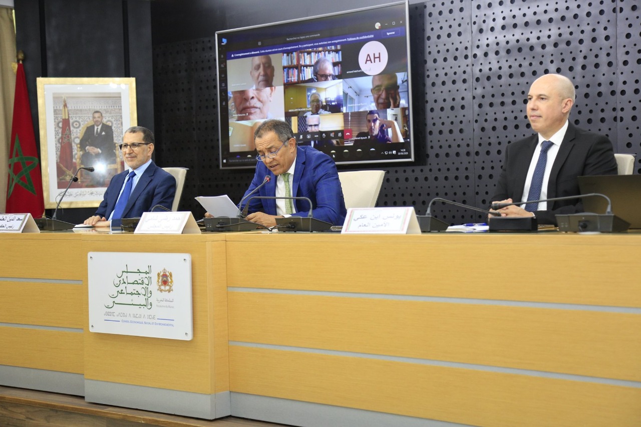 Le Conseil Economique Social et Environnemental, le 17 Juin 2020 à