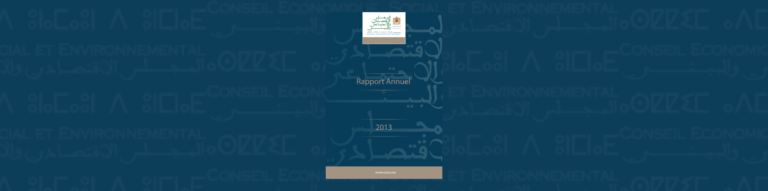 Bannière illustrative du rapport annuel 2013