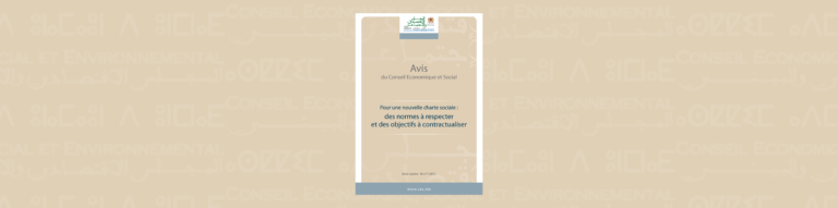 Bannière illustrative de l'auto-saisine sur "la nouvelle charte sociale"