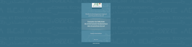Bannière du rapport intermédiaire du CESE relatif à l'ffectivité des droits dans les provinces du Sud du Maroc
