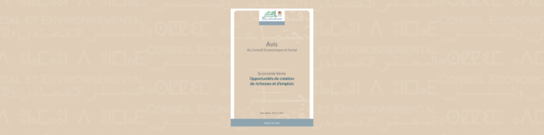 Bannière illustrative de l'auto-saisine sur "économie verte"