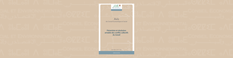 Bannière illustrative de l'auto-saisine sur "Prévention des conflits collectifs au travail"