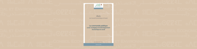 Bannière illustrative de l'auto-saisine sur "la commande publique"