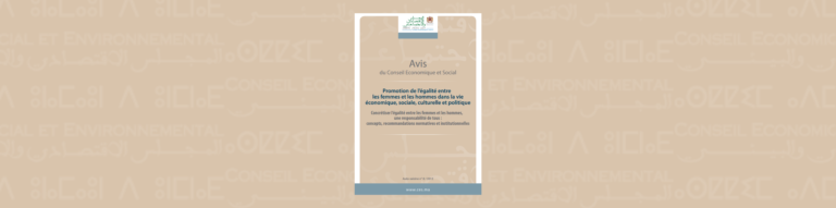 Bannière illustrative de l'auto-saisine sur "l'égalité femme-homme/volet institutionnel"