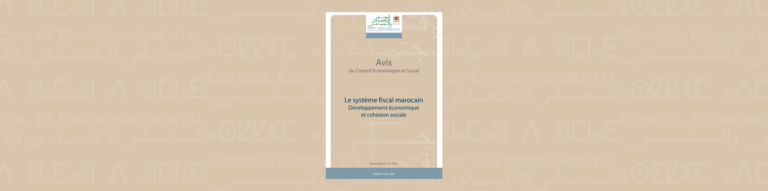 Bannière illustrative de l'auto-saisine sur "le système fiscal, levier de développement"