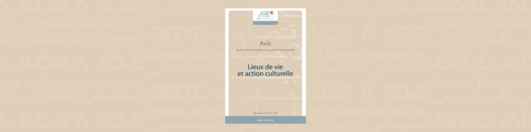 Bannière illustrative de l'auto-saisine sur "les mieux de vie et action culturelle"
