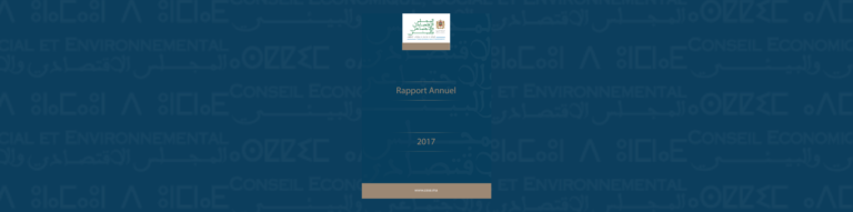 Bannière illustrative du rapport annuel 2017