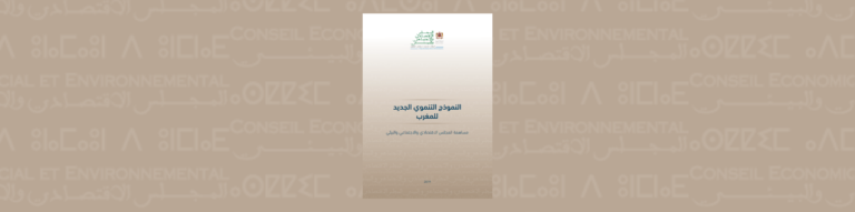 لافتة لدراسة المجلس حول "النموذج التنموي الجديد للمغرب"