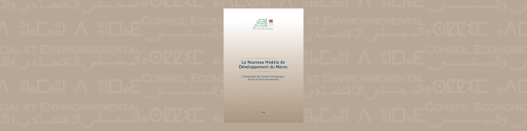 Bannière du rapport du CESE relative à sa contribution au nouveau modèle de développement
