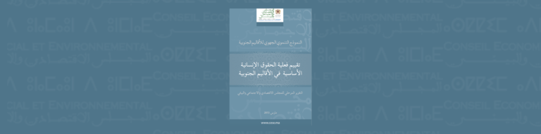 لافتة لدراسة المجلس حول "تقييم فعلية الحقوق الإنسانية في الأقاليم الجنوبية"