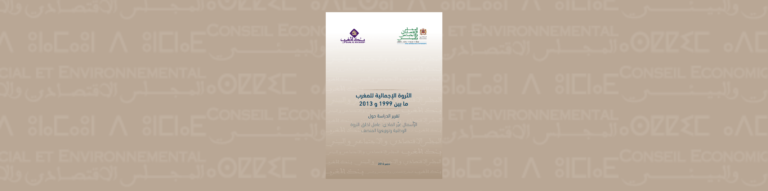 لافتة لدراسة المجلس حول "الثروة الإجمالية للمغرب ما بين 1999 و 2013"