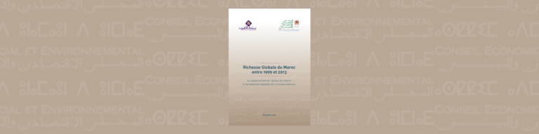 Bannière du rapport du CESE relatif à la richesse globale du maroc