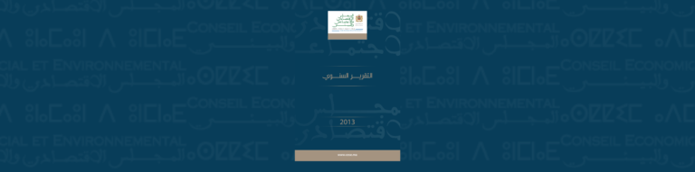 لافتة للتقرير السنوي 2013 المجلس الاقتصادي والاجتماعي والبيئي