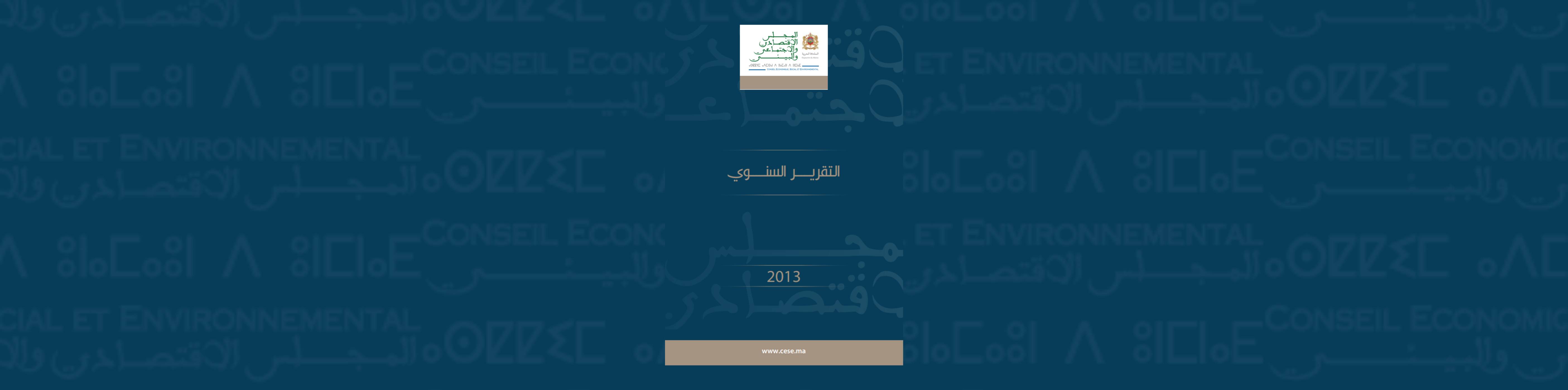 لافتة للتقرير السنوي 2013 المجلس الاقتصادي والاجتماعي والبيئي