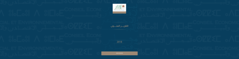 لافتة للتقرير السنوي 2018 المجلس الاقتصادي والاجتماعي والبيئي