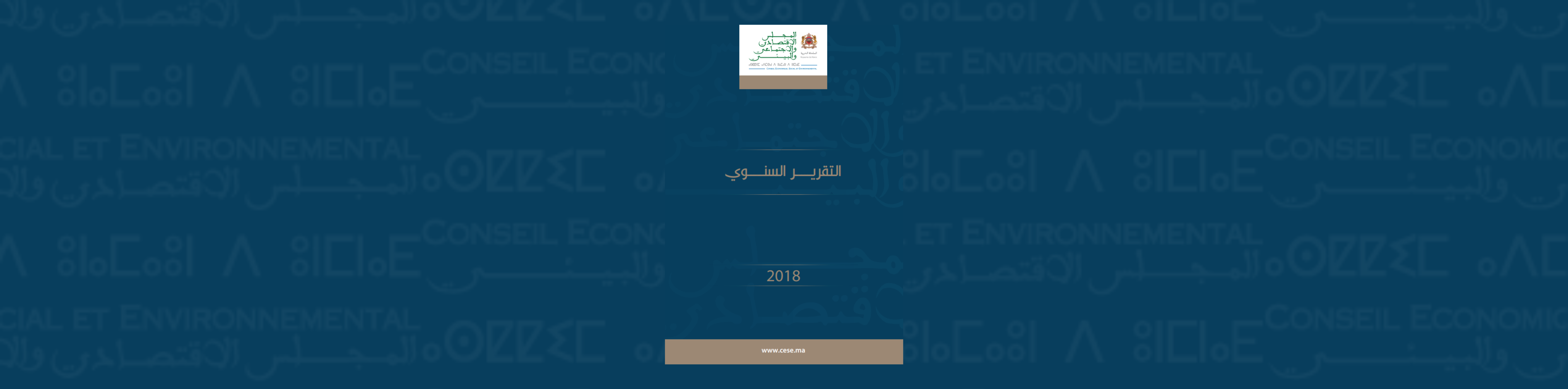 لافتة للتقرير السنوي 2018 المجلس الاقتصادي والاجتماعي والبيئي