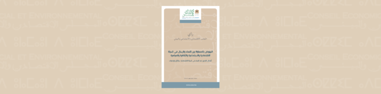 لافتة للإحالة الذاتية للمجلس رقم 18-2014 حول "أشكال التمييز ضد النساء في الحياة الاقتصادية"