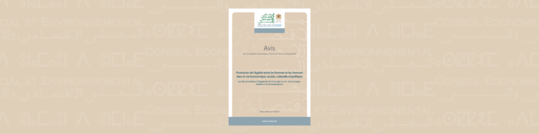 Bannière illustrative de l'autosaisine du CESE numéro 18/2014 sur les discriminations économiques à l'égard des femmes