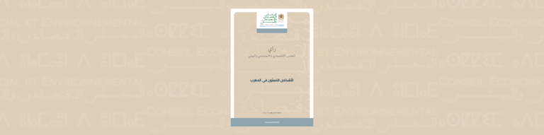 لافتة للإحالة الذاتية للمجلس رقم 20-2015 حول "الأشخاص المُسنّون في المغرب"