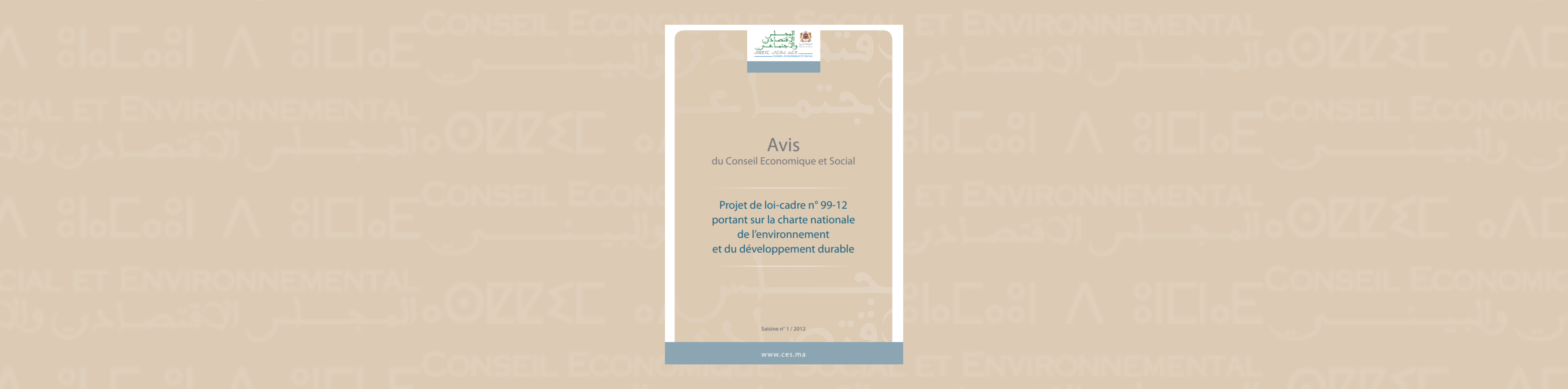 Bannière illustrative de la saisine sur "le projet de loi 99-12"
