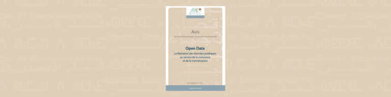 Bannière illustrative de l'autosaisine du CESE numéro 14/2014 "opendata"