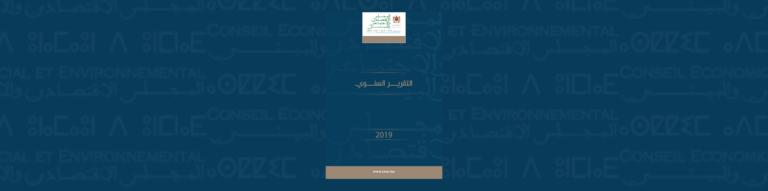 لافتة للتقرير السنوي 2019 المجلس الاقتصادي والاجتماعي والبيئي