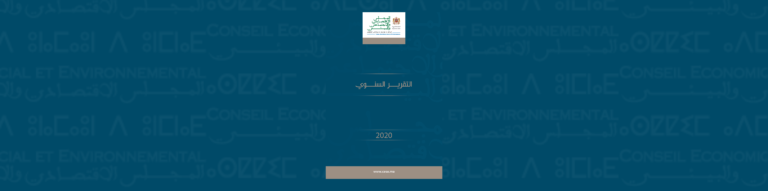 لافتة للتقرير السنوي 2020 المجلس الاقتصادي والاجتماعي والبيئي