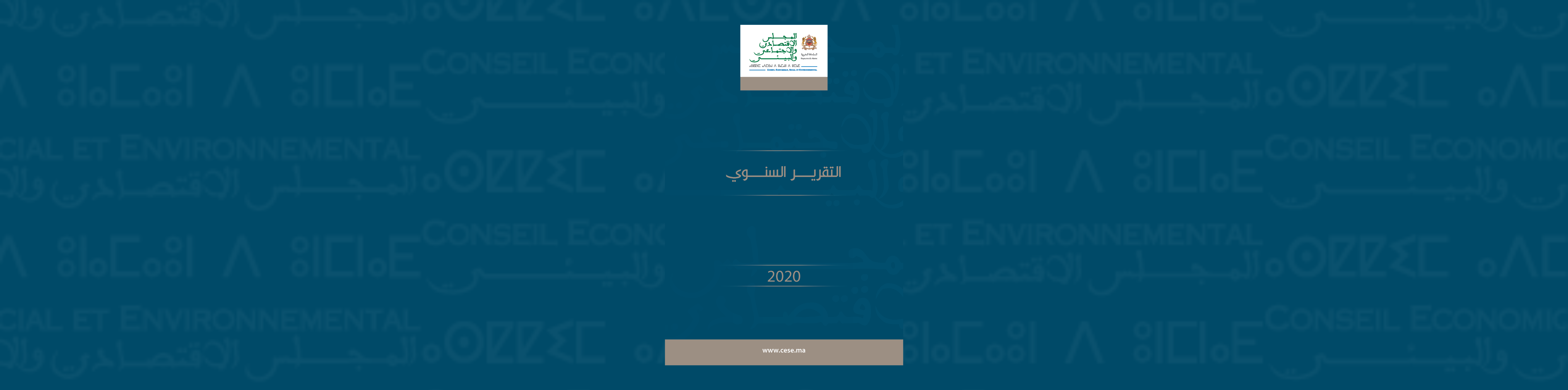 لافتة للتقرير السنوي 2020 المجلس الاقتصادي والاجتماعي والبيئي