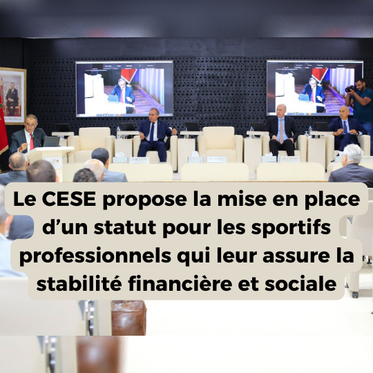 Le CESE propose la mise en place d’un statut pour les sportifs professionnels qui leur assure la stabilité financière et sociale