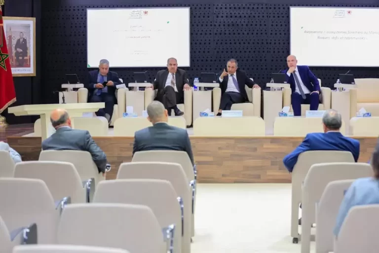 Restit-Forets-2-1024x682