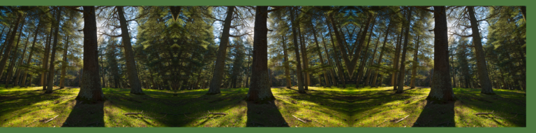 Bannière-Ecosystèmes forestiers au Maroc