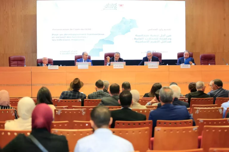 Atelier-de-restitution-de-lavis-sur-le-développement-territorial11