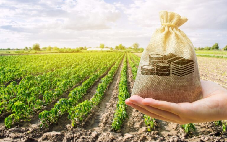 Commercialisation-des-produits-agricoles