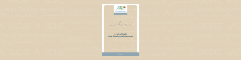 Avis du CESE-Saisine grève