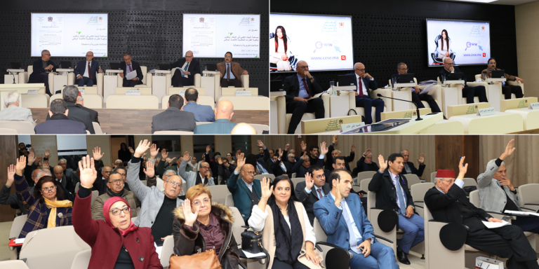 Montage-photo de la 166e session ordinaire du CESE