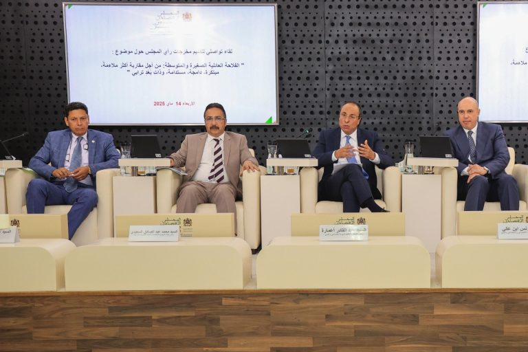 المجلس الاقتصادي والاجتماعي والبيئي يقدم مخرجات رأيه حول الفلاحة العائلية الصغيرة والمتوسطة