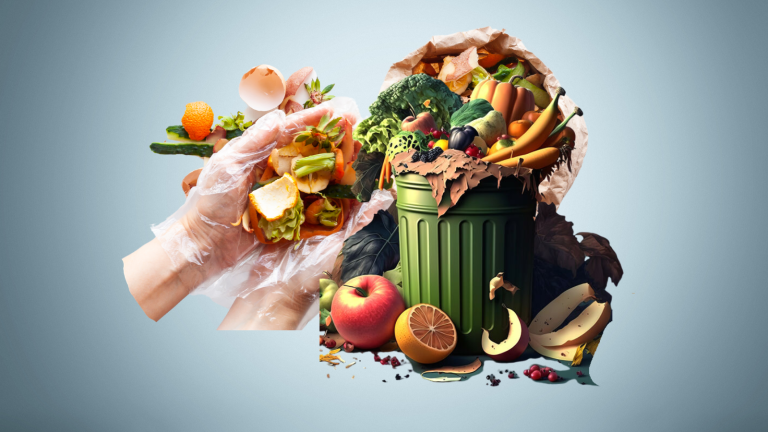 Illustration de l'avis du CESE sur les pertes et gaspillage alimentaires au Maroc