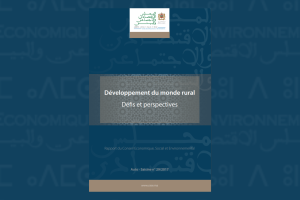 Bannière illustrative de l'auto-saisine du CESE sur le développement du monde rural